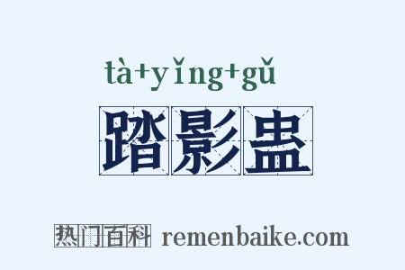 踏影蛊是什么意思的图片